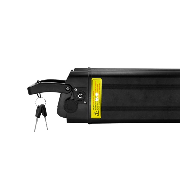 36V 20Ah Ebike Battery